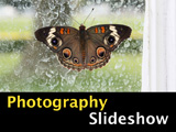 photography flash slideshow button icon